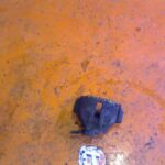 Pinza DE Freno Delantera Derecha Mercedes-benz Sprinter Furgón