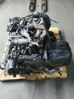 NO Identificado Man - Imagen 2