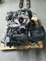 NO Identificado Man - Imagen 3